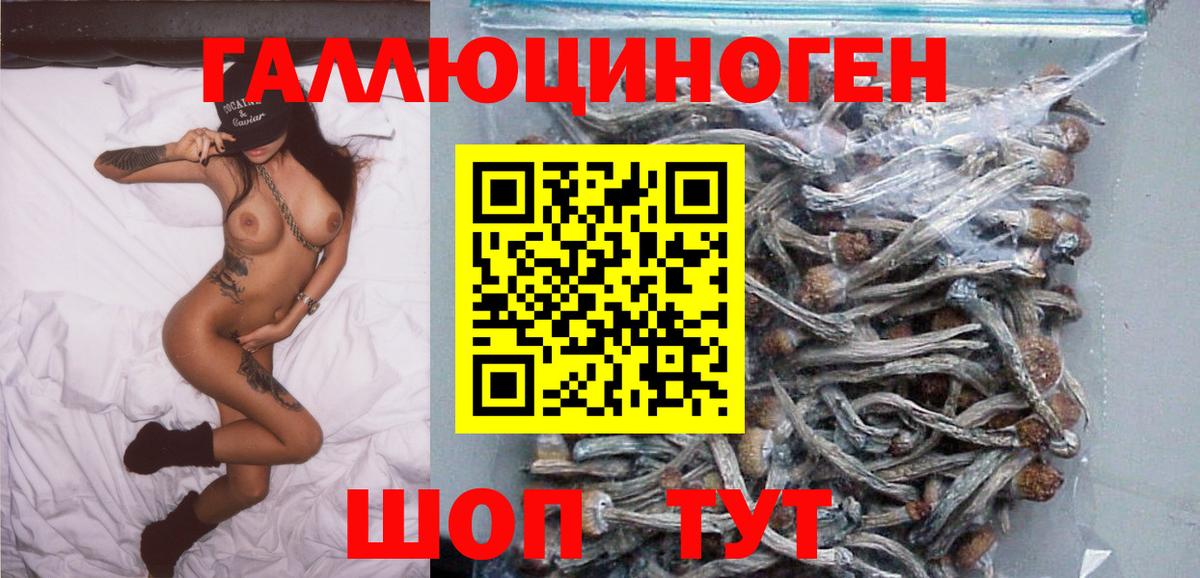 Чистополь  закладка  Вход с VPN  Галлюциногенные грибы прущие грибы 